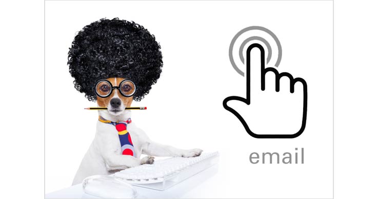 Contact Web Caviar by email