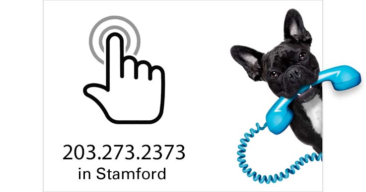 Contact Web Caviar by phone