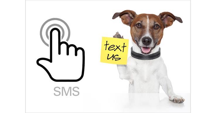 Contact Web Caviar by sending a SMS